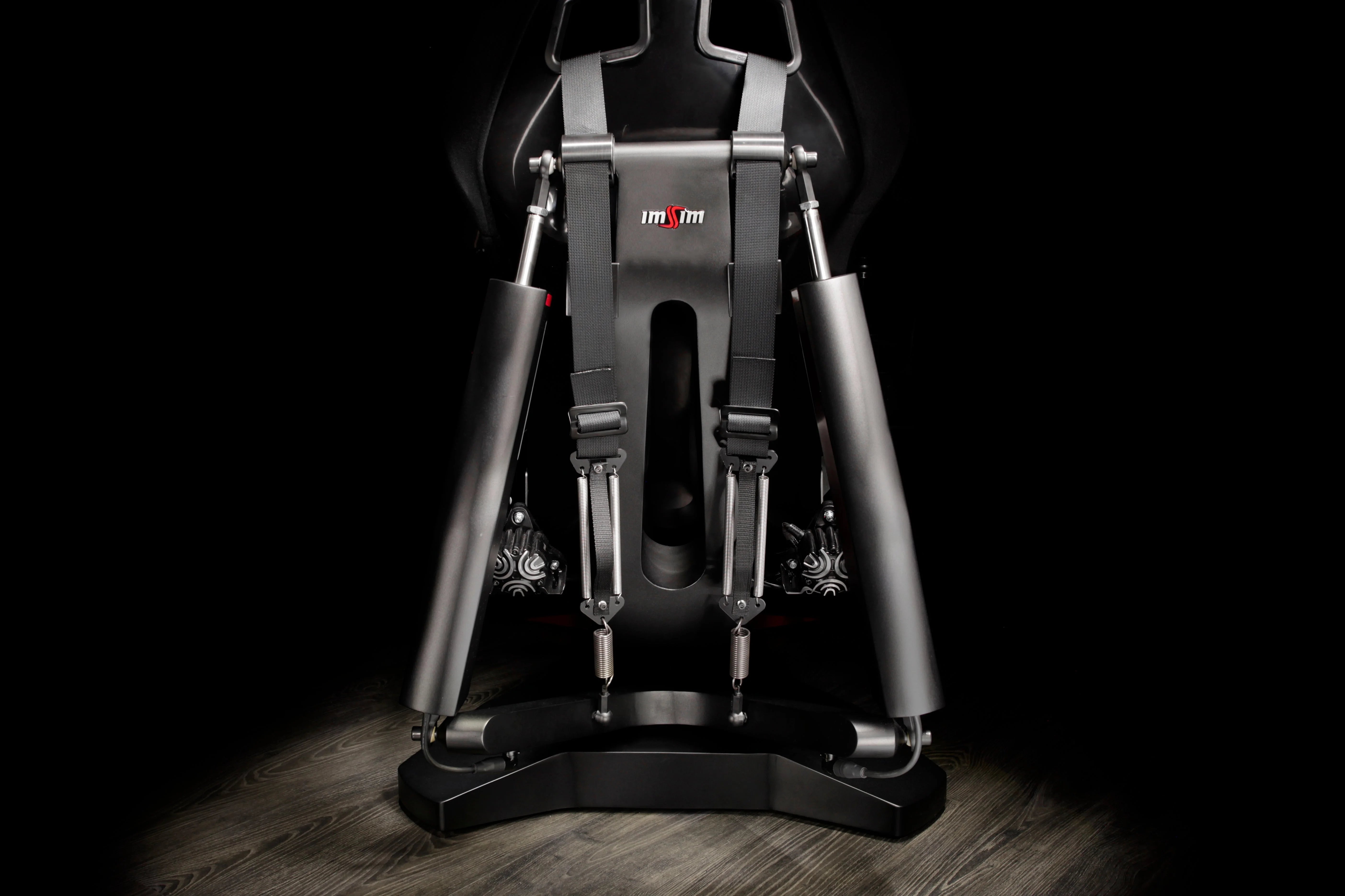 EXTREME SIMRACING ALMA BY IMSIM Extreme Simracing